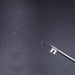 Dual Beam Thermocouple Kit TA 960017.901 For TA Instruments/TA Thermal Analysis Consumable | NEXACULE - Sample thermocouple